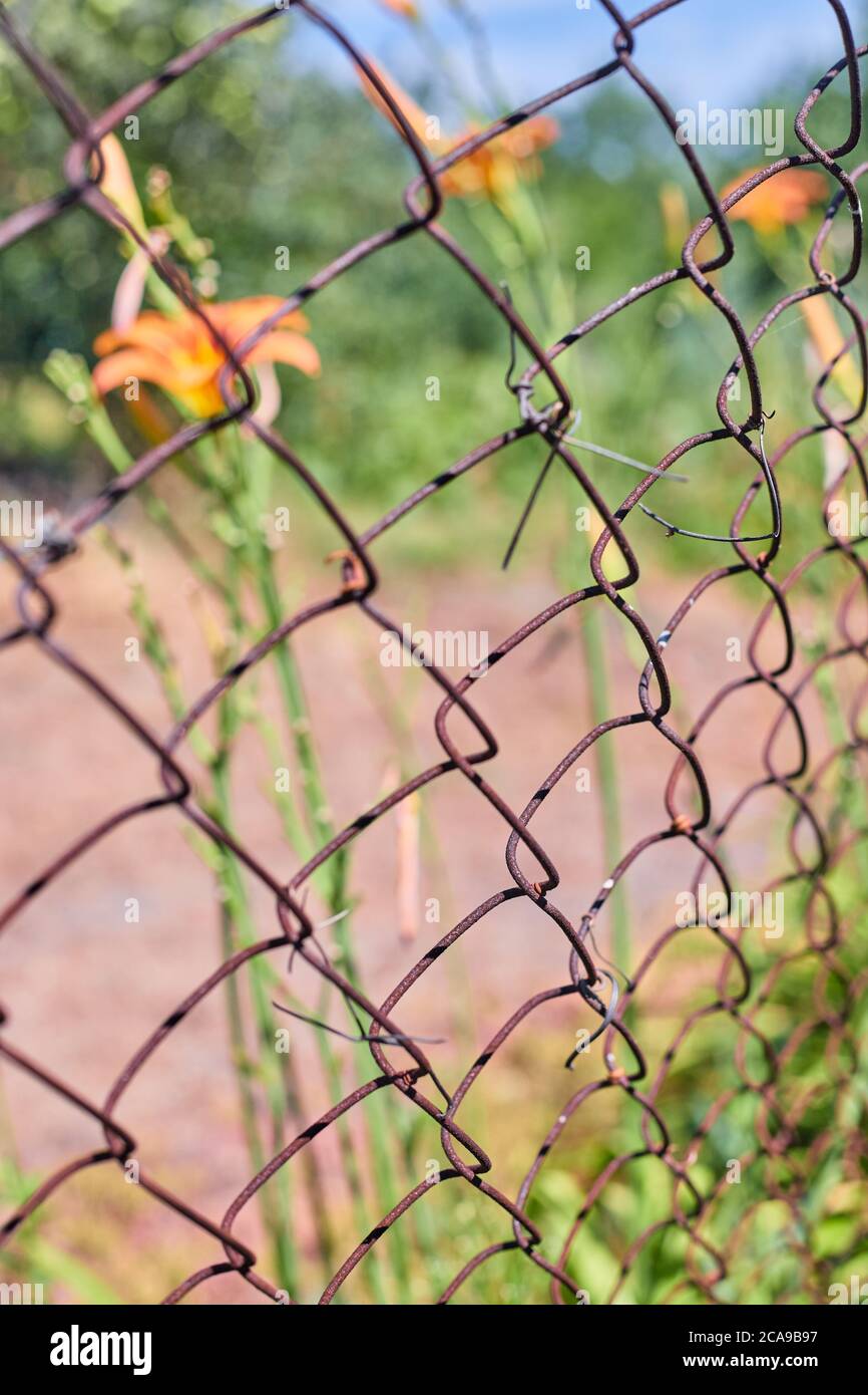 Seamless texture metal mesh fence hi-res stock photography and images ...