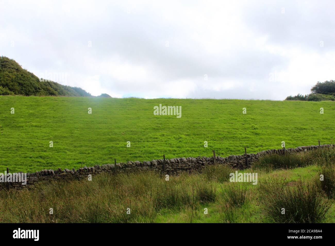 Steep grass hill field in Anglezarke, Chorley, England Stock Photo
