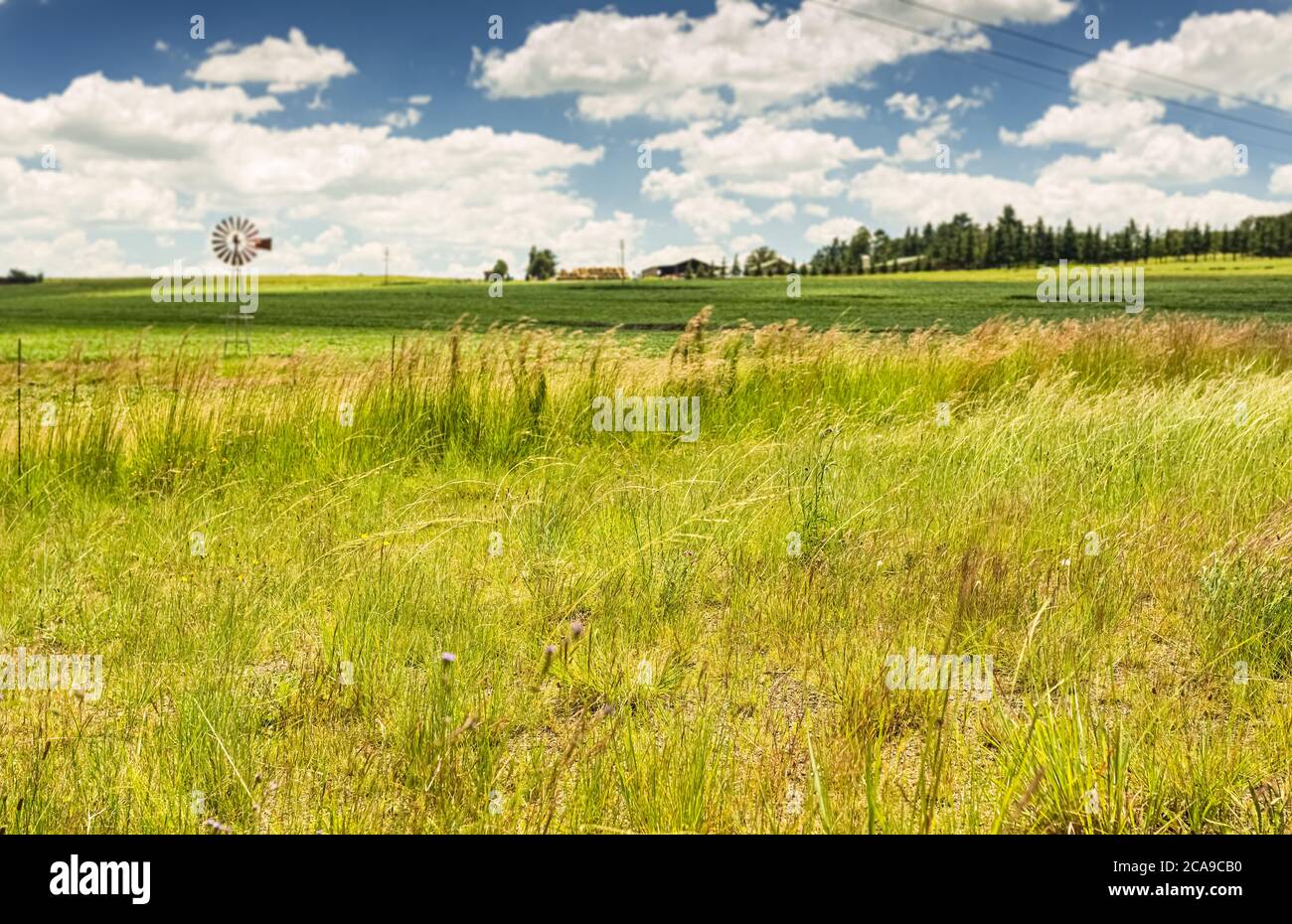 Wide angle view of Small scale farm in the Highveld region of South Africa Stock Photo