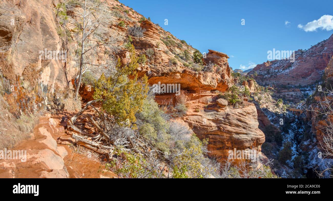 Trail to Canyon Overlook, Zion National Park, Utah, USA Stock Photo