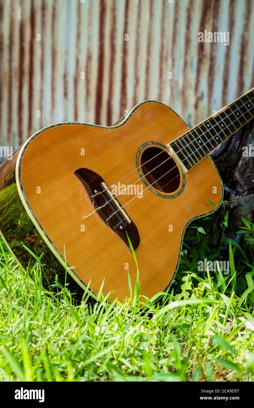 Acoustic baritone ukulele guitar leaning against stump in yard Stock Photo  - Alamy