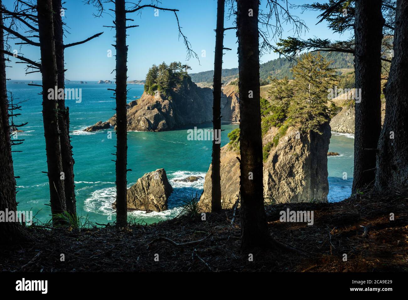 Seastacks and the Pacific Ocean seen through the trees, Windy Point, Arch Rock Picnic Area, Samuel H. Boardman State Park, Oregon Stock Photo