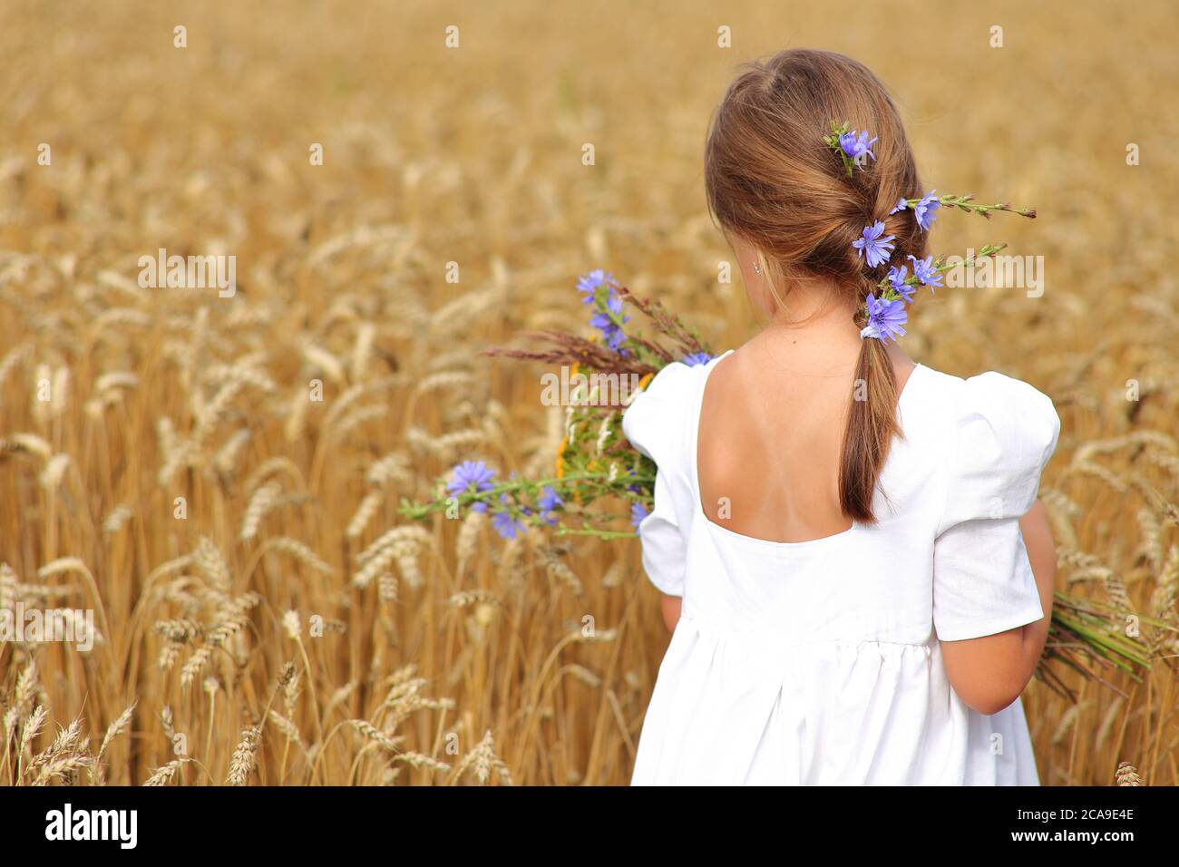 Little girl with a bouquet of wildflowers in her hands in a wheat field ...