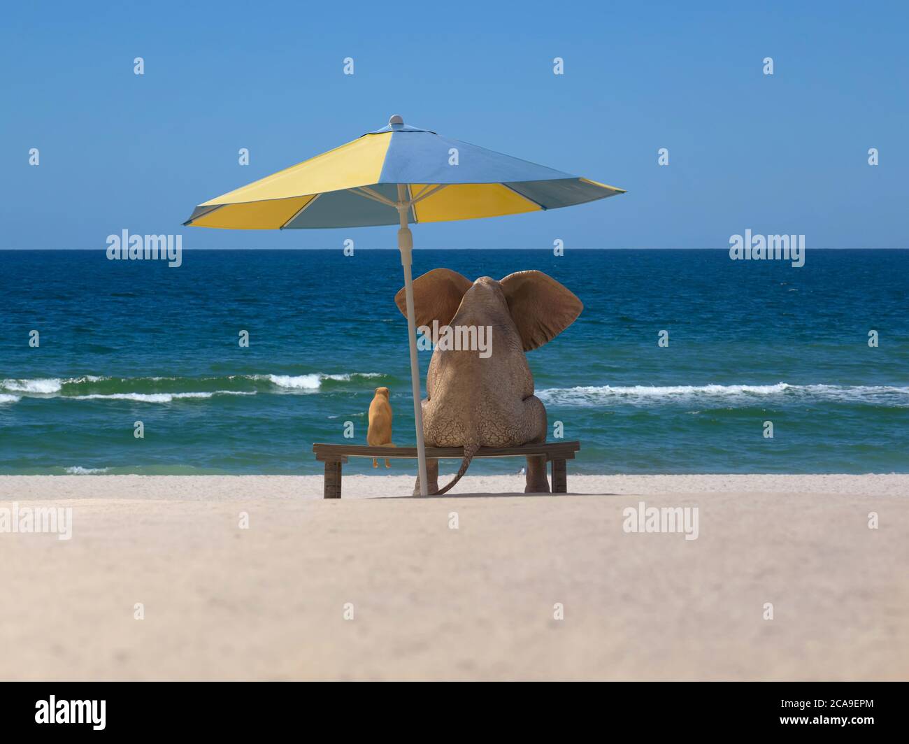 elephant and dog sit under an umbrella on the sea beach Stock Photo