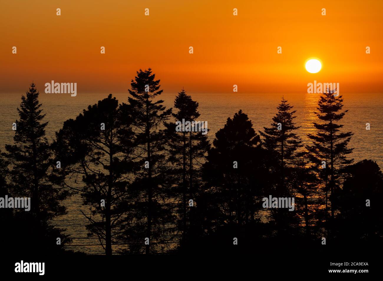 Sunset over the Pacific Ocean with silhouetted trees, Little River, Mendocino County, California Stock Photo