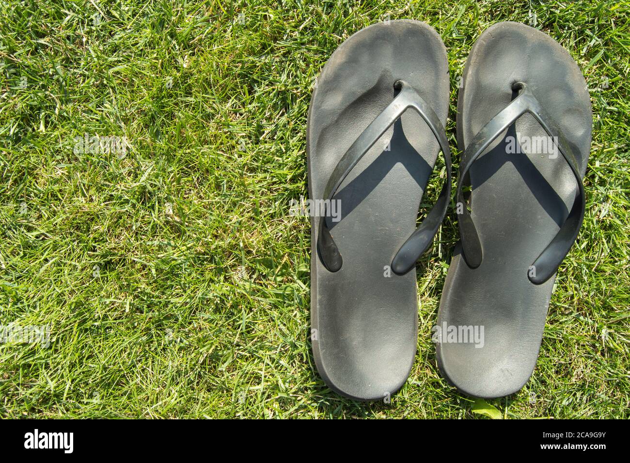 A pair of black rubber flip-flops on the green grass of the lawn with a  copy of the space, in summer, outdoors Stock Photo - Alamy