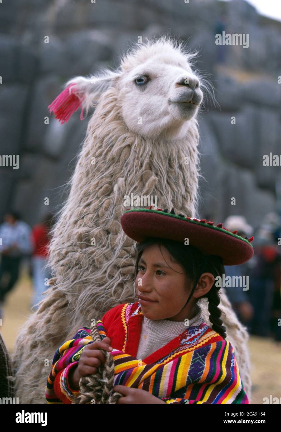 Smiling Young  girl  in traditional costume with llama , Cusco, Peru, South America Stock Photo