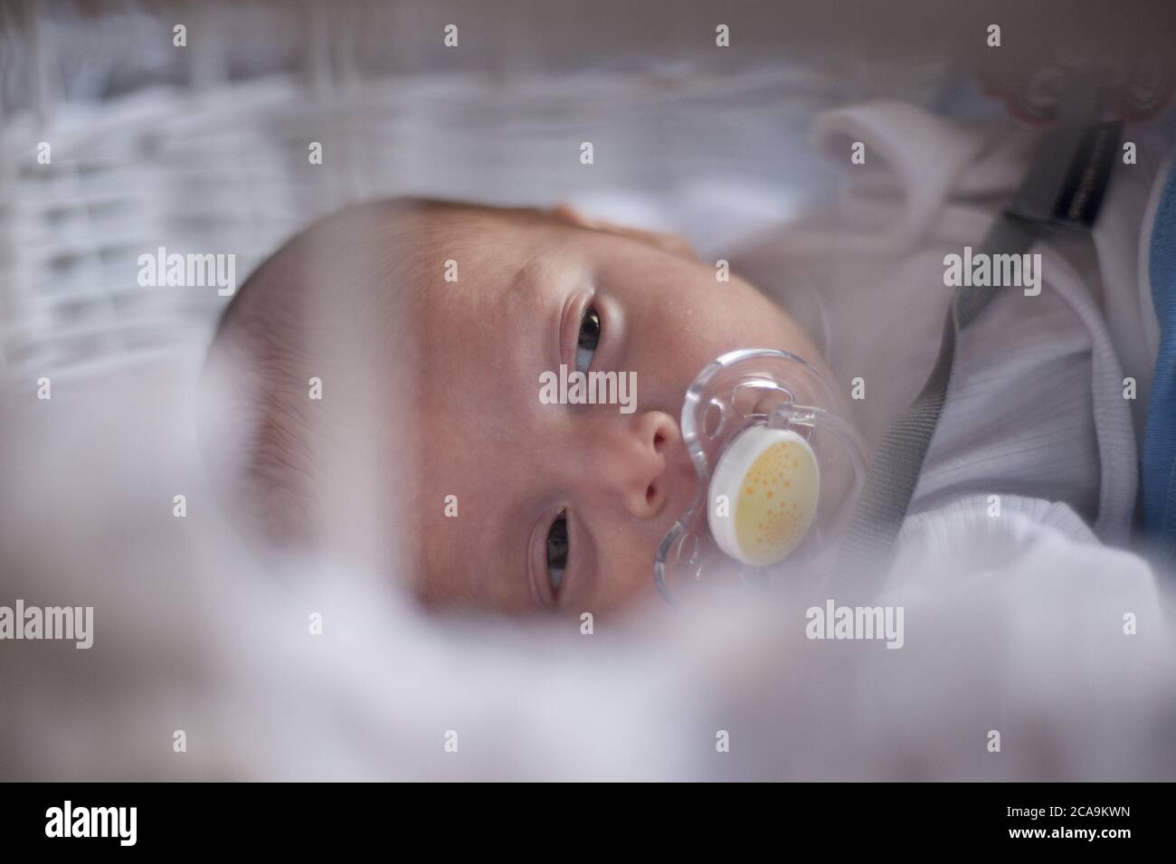 Baby moses basket hires stock photography and images Alamy