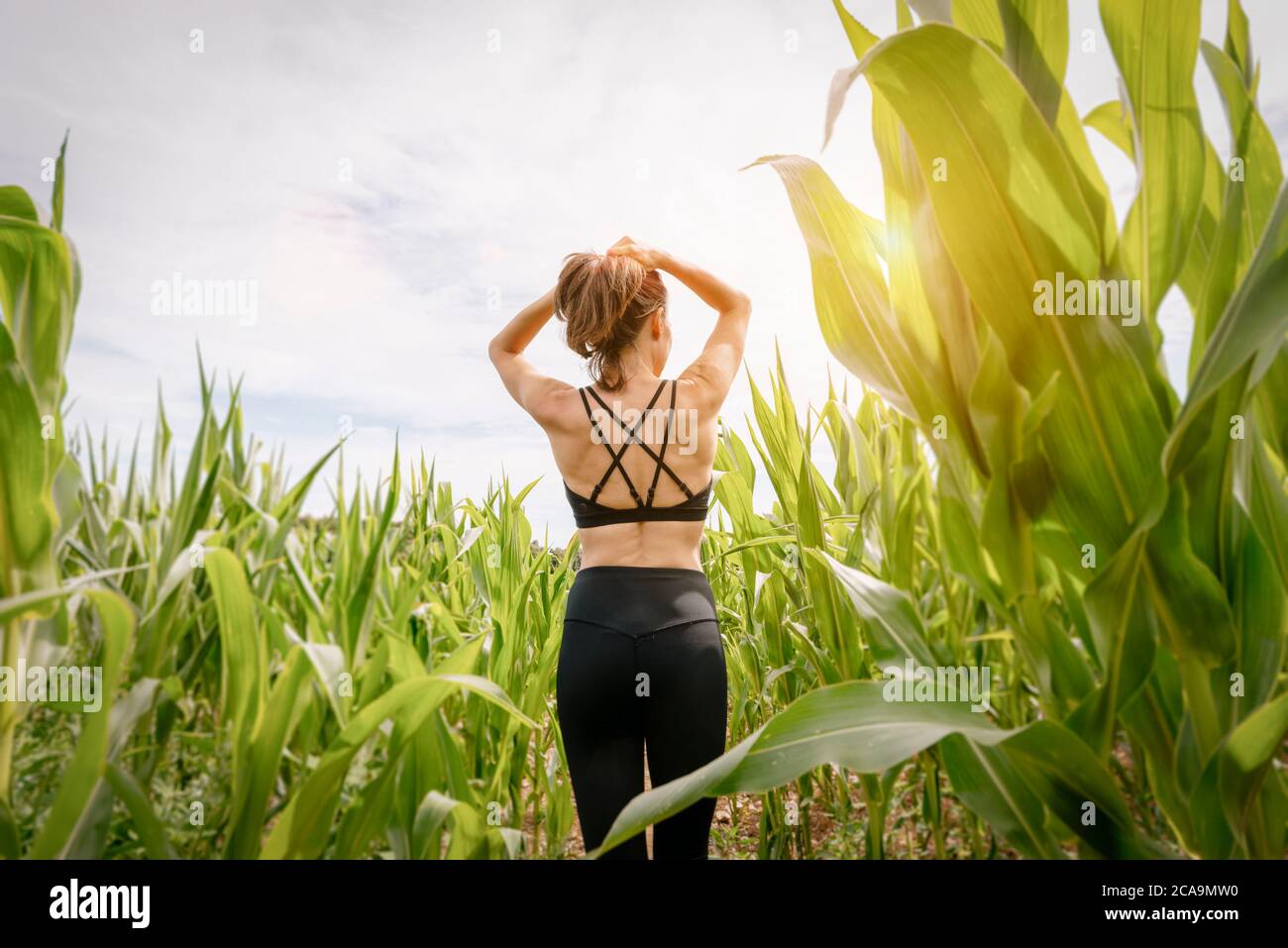 back view of a sporty woman tying her hair back before exercising. Green field with sun flare. Stock Photo
