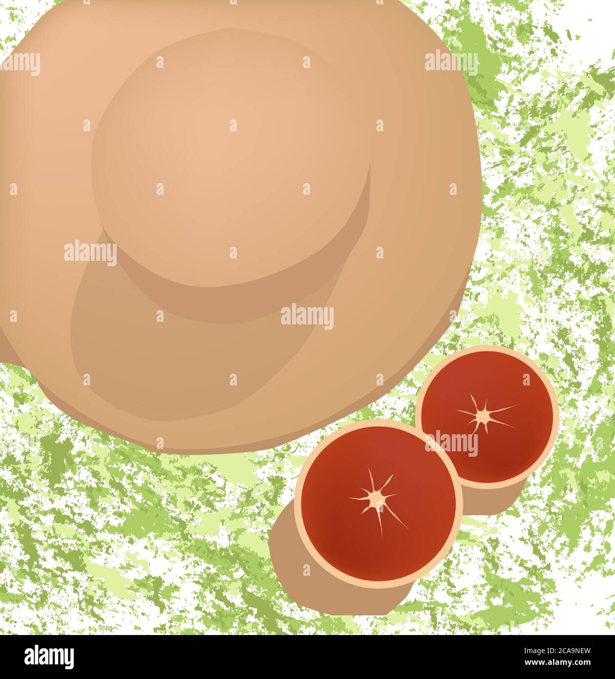 Summer composition with two halves of grapefruit and hat on green splashed background. Vector Stock Vector