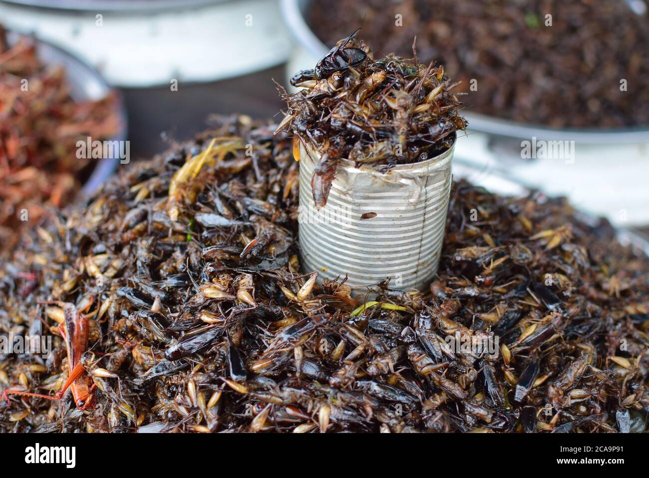 Exotic food in Cambodia Stock Photo