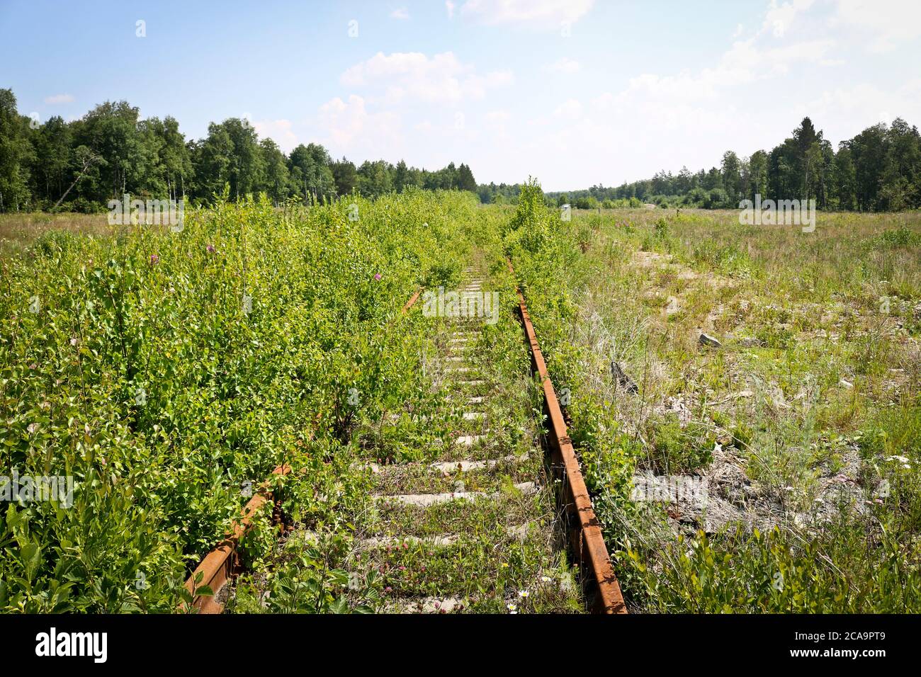 Abandoned railway with rusty rails. The grass has grown through the ...