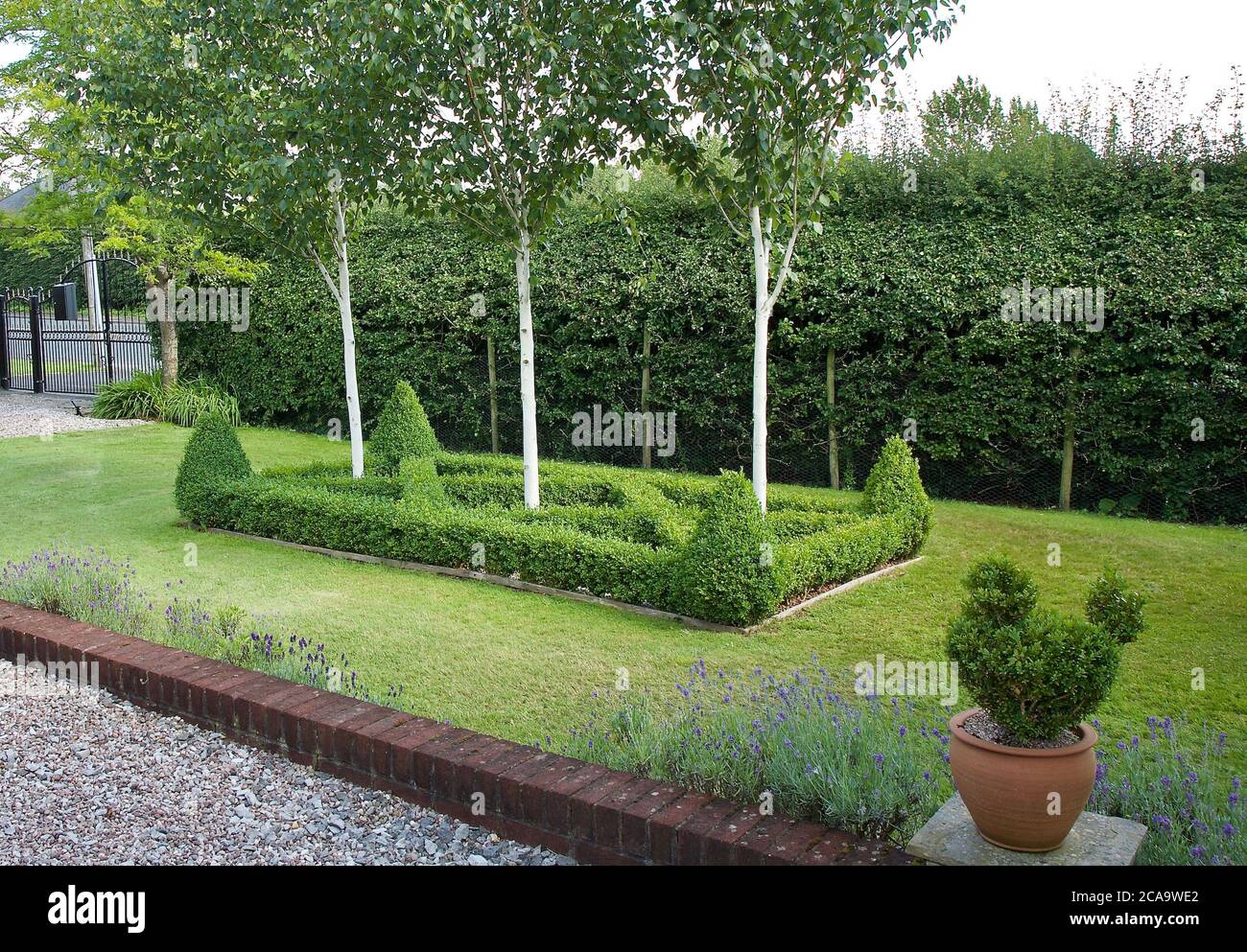 Garden plants trees and flowers Stock Photo Alamy