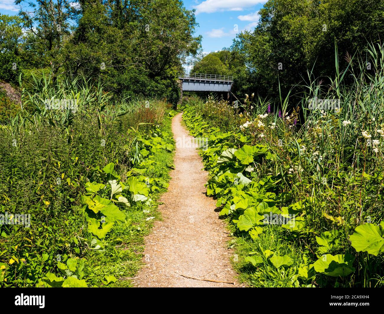 Pickletimber Railway Bridge No 65, Kennet and Avon Canal, Newbury, Berkshire, England, UK, GB. Stock Photo