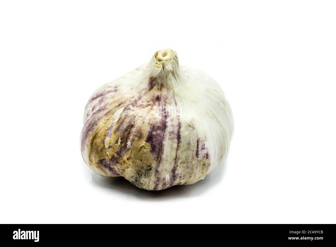 Garlic isolated on white background Stock Photo