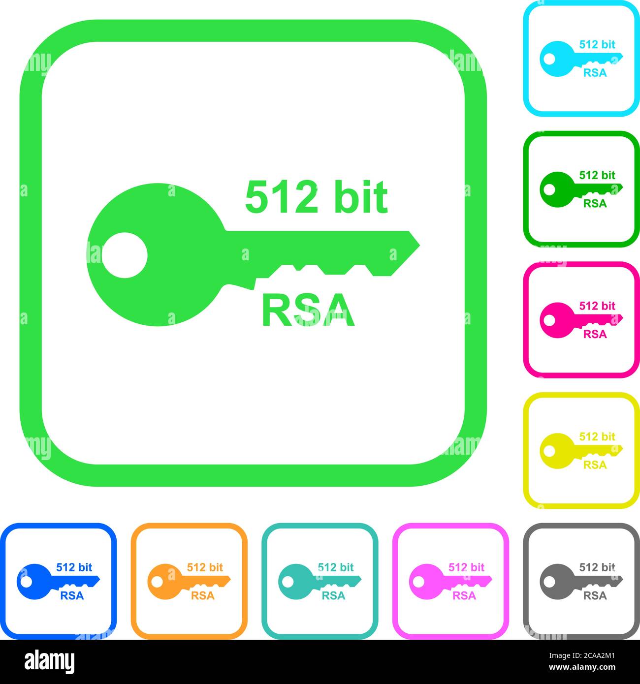 512 bit rsa encryption vivid colored flat icons in curved borders on ...