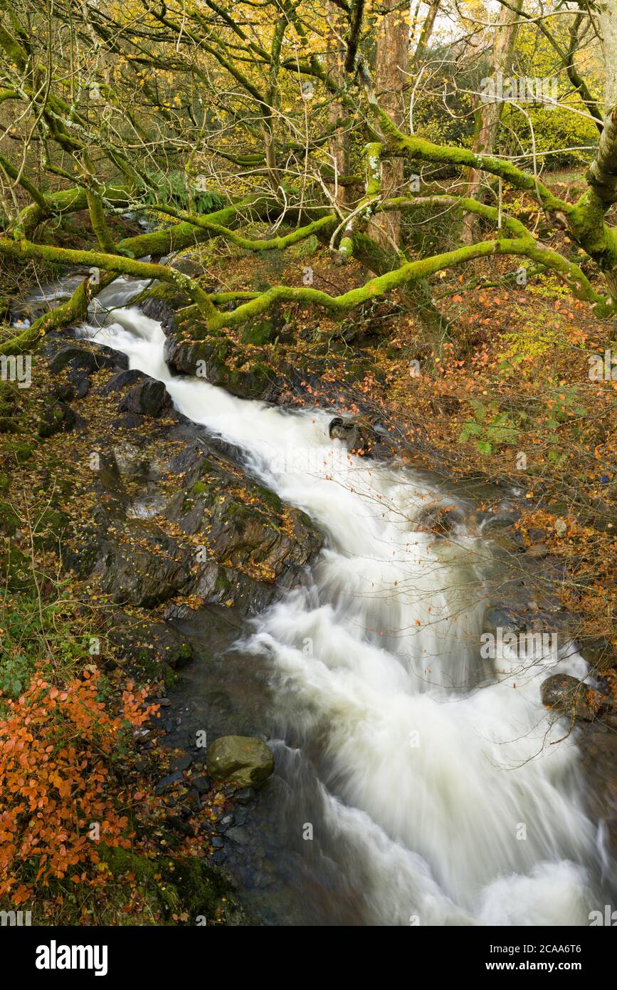 The River Glenderamackin at Mungrisdale in the Lake District National Park, Cumbria, England. Stock Photo