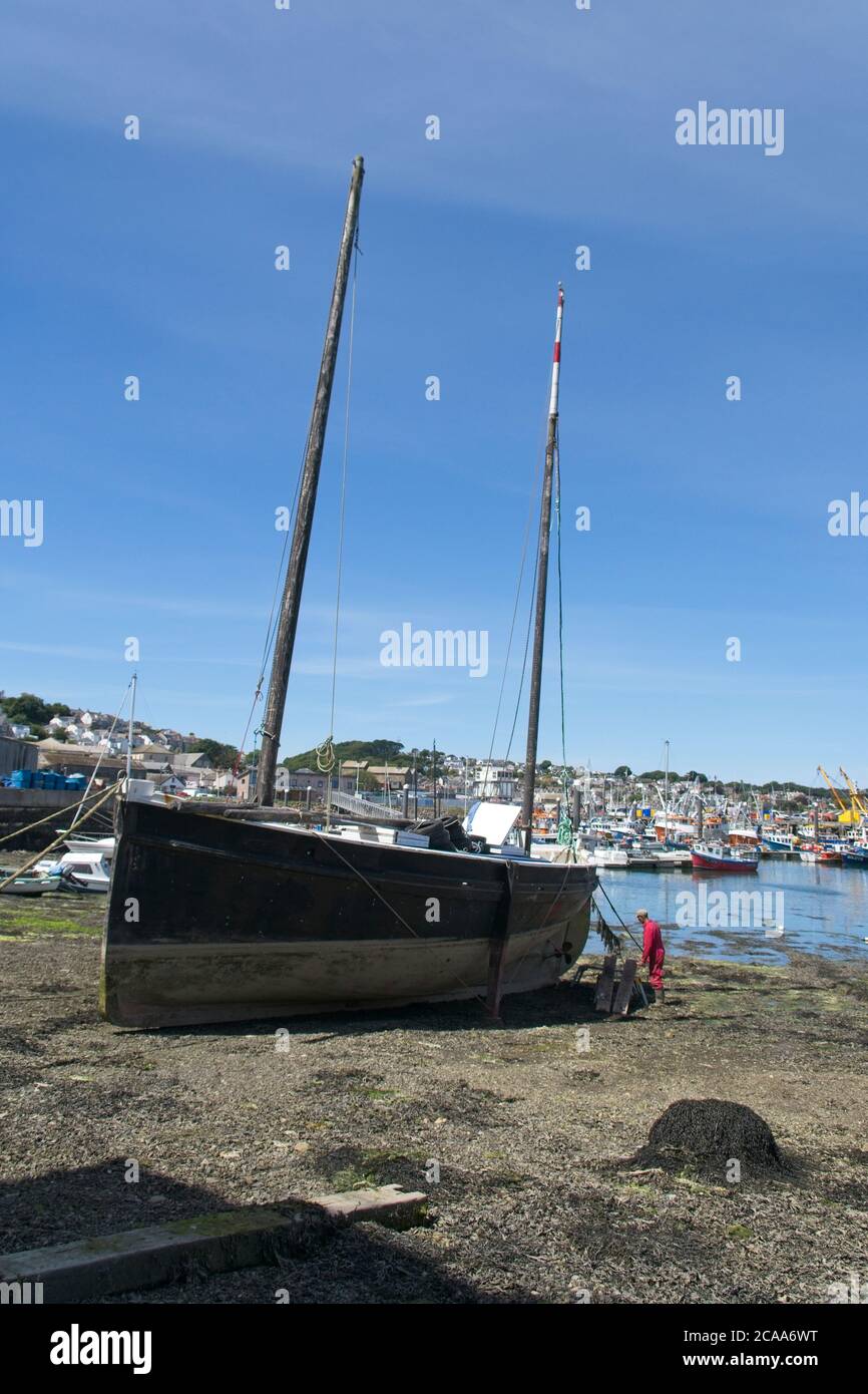 Newlyn Old Harbour Traditional Lugger being restored Man cleaning side of hull  Full view of vessel with harbour boats and trawlers in background Stock Photo