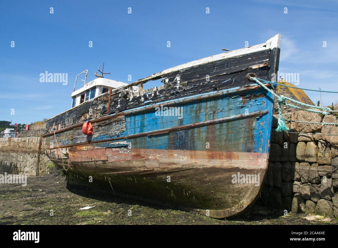 Derelict trawler beyond repair and decaying lying alongside outer wall of Old Harbour Newlyn Flaking paintwork, rotting timber hull. Landscape format Stock Photo