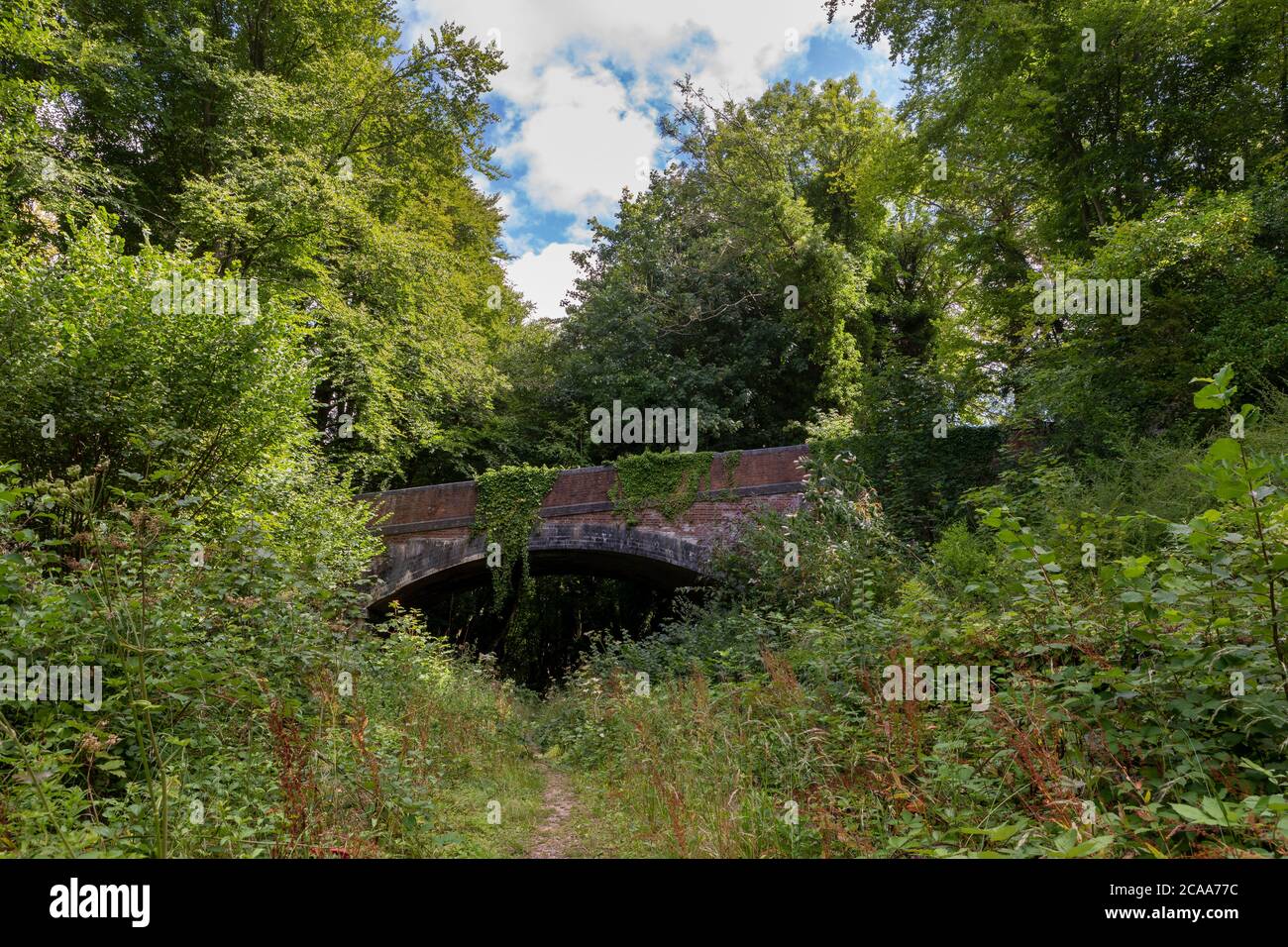 Abandoned railway line under an old bridge. Dismantled in the 1950's now a heritage trail crossing the south downs near Wickham in Hampshire Stock Photo