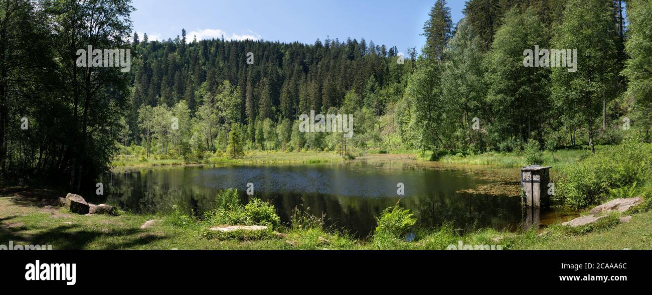 Panorama of the lake Ellbachsee in the Black Forest, Germany Stock Photo