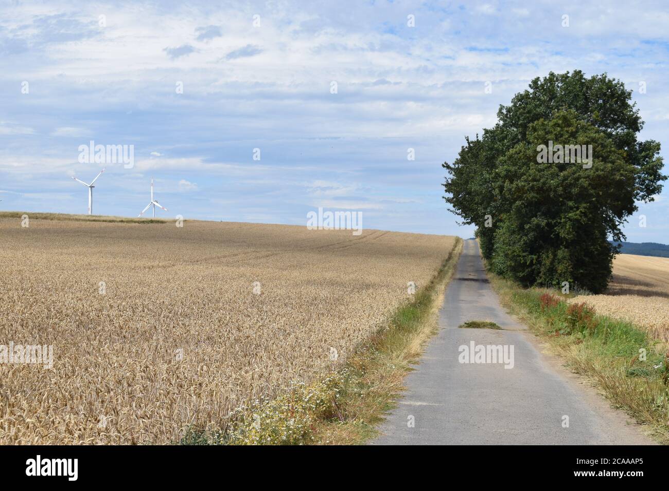 bad country road Stock Photo