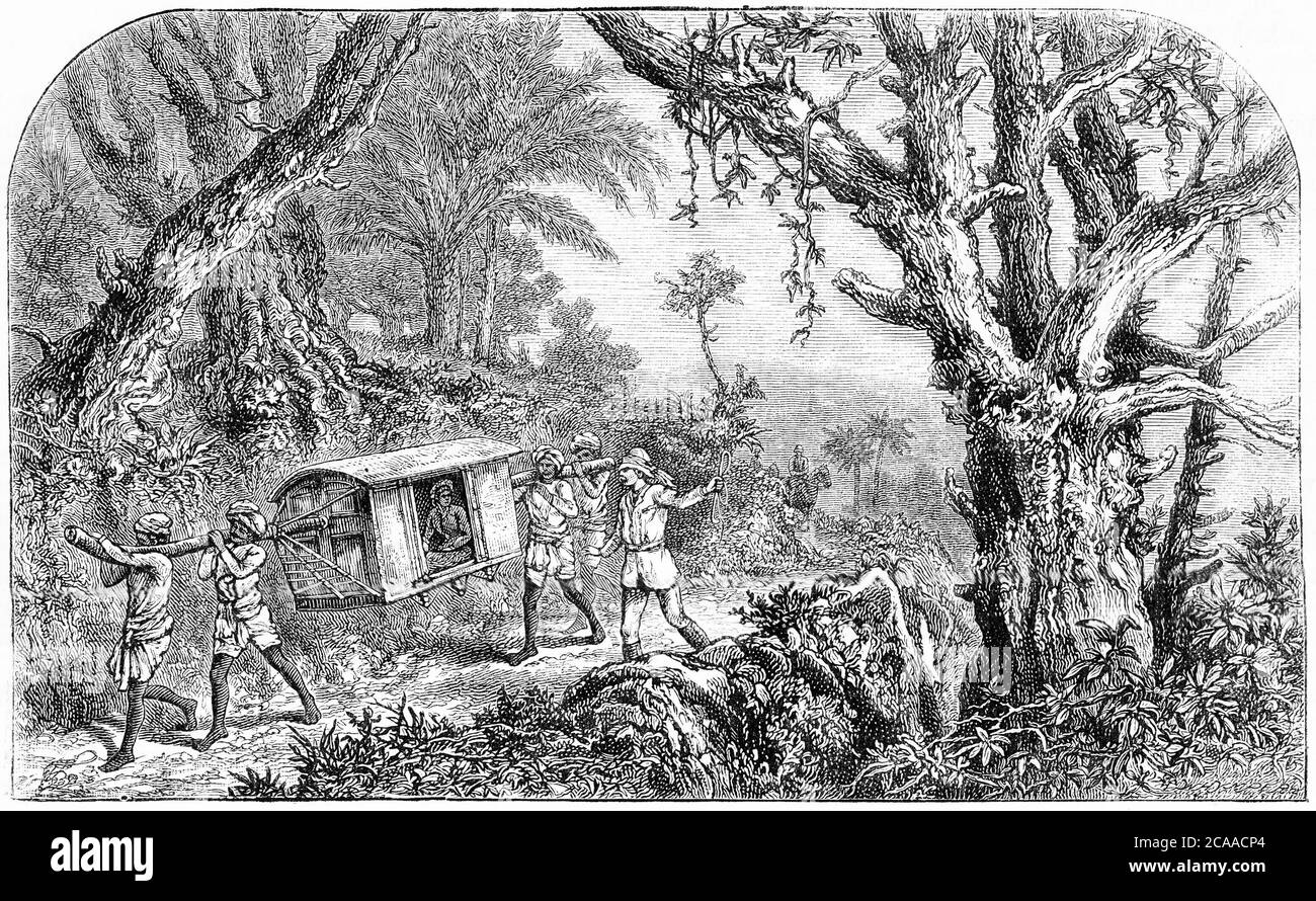Engraving of a porters carrying somebody in a litter to a village in the Congo of Africa Stock Photo