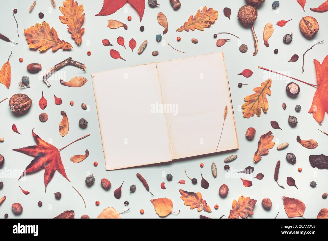 Vintage book mock up with autumn decoration flat lay top view copy space Stock Photo
