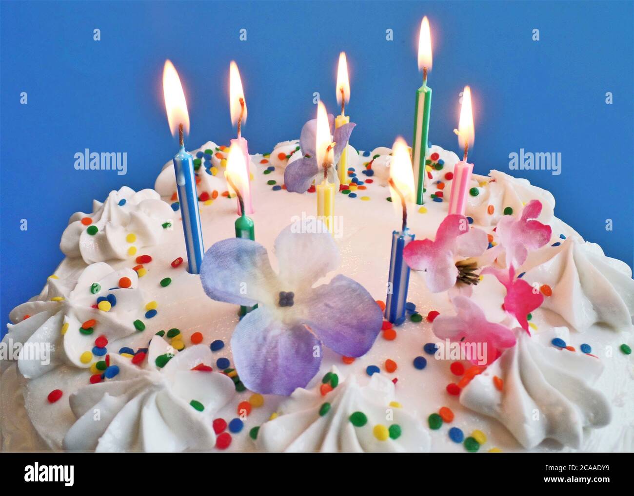 Birthday cake with lit candles Stock Photo - Alamy