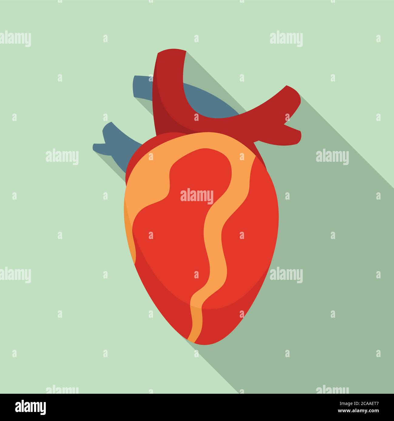 Anatomy human heart icon. Flat illustration of anatomy human heart vector icon for web design Stock Vector