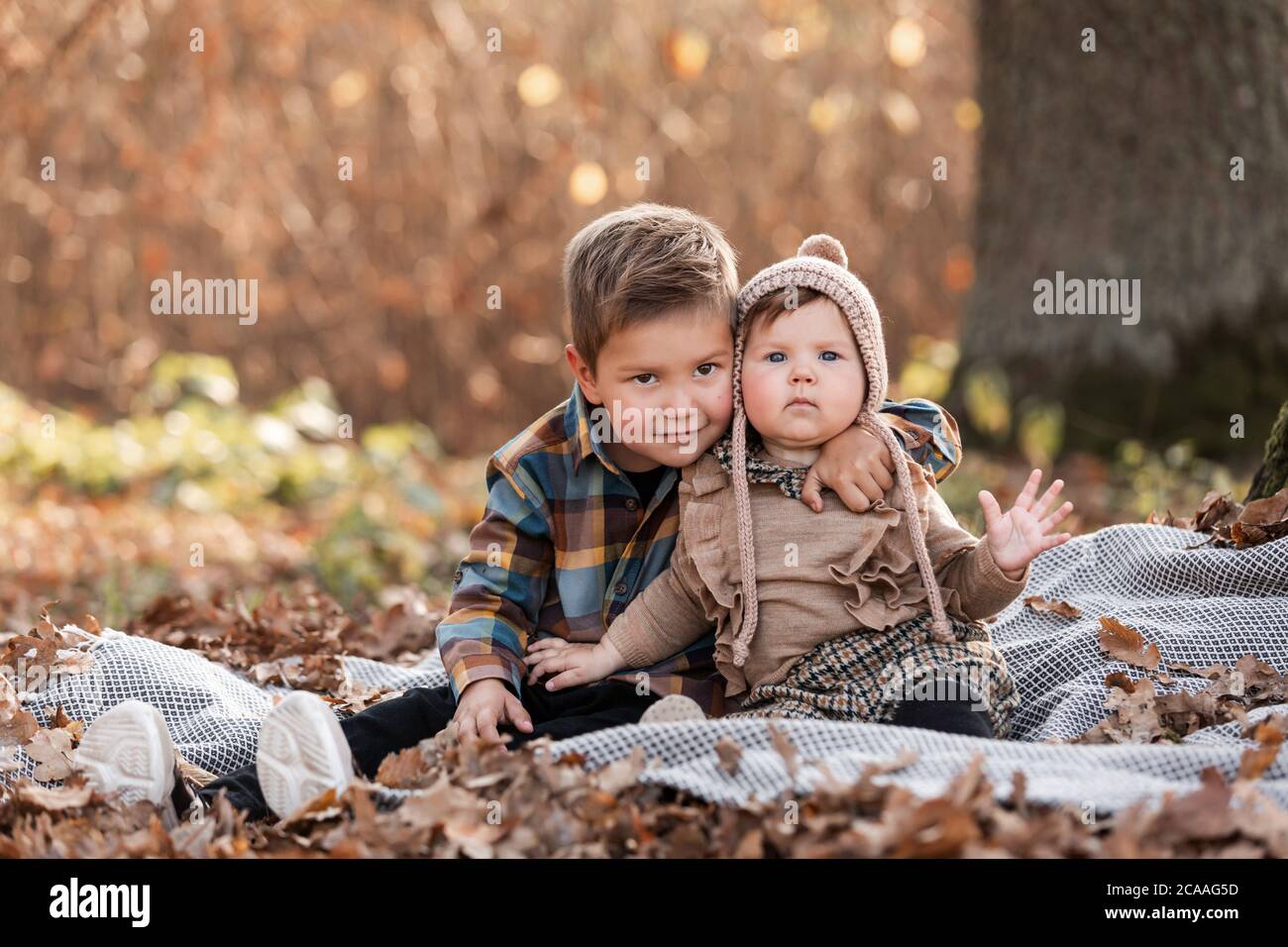 A boy with a girl are sitting on dry leaves in the woods on a autumn ...