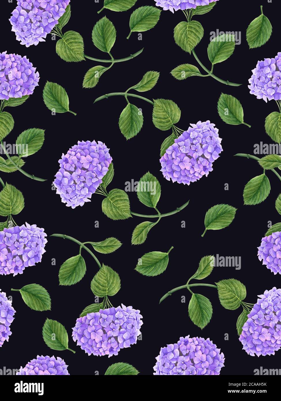 Seamless vintage pattern with Hydrangea flower watercolor illustration ...