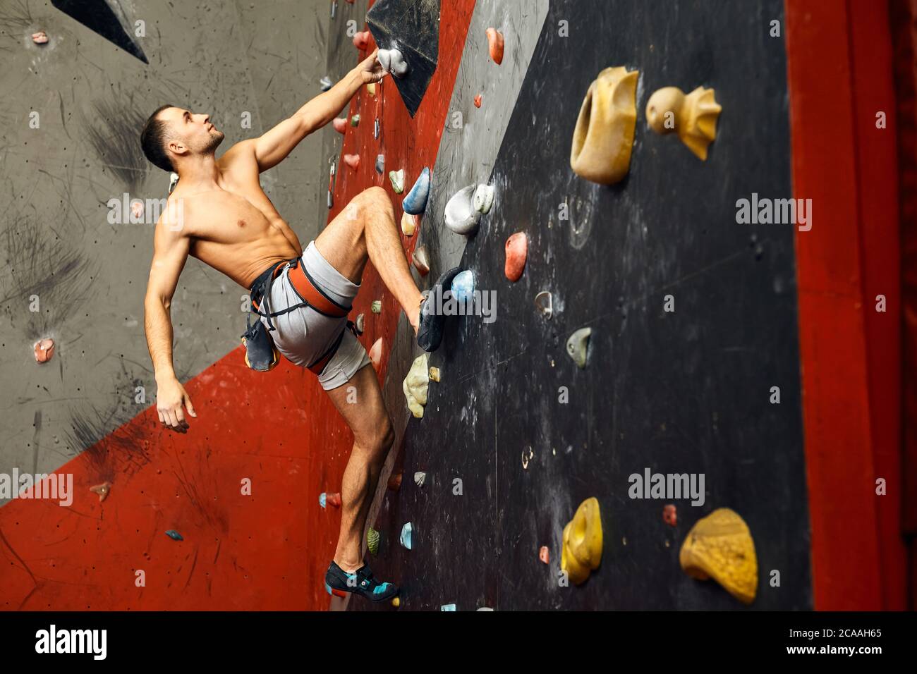 Unrecognizable athlete climber man exercising on grey practical wall with footholds, indoor shot, close up bouldering, rear view. Stock Photo