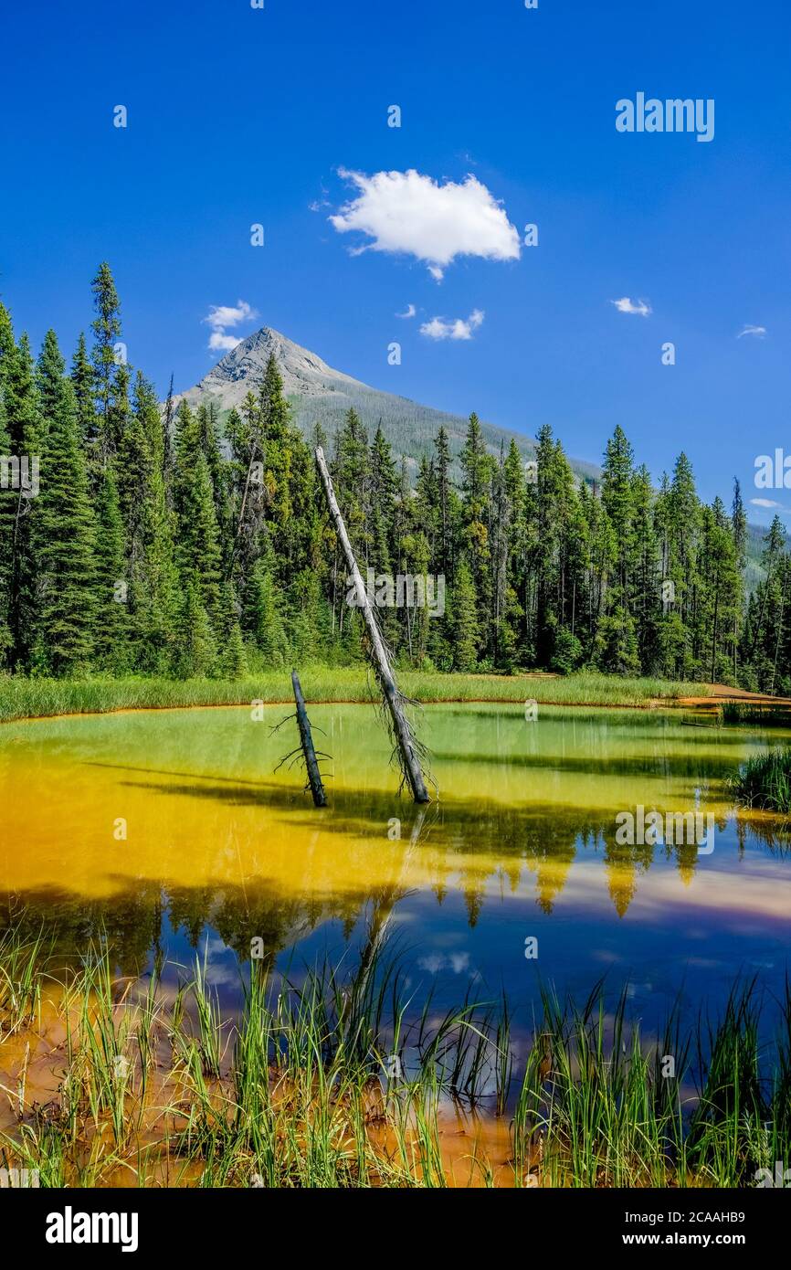 Paint Pots, Kootenay National Park, British Columbia, Canada Stock Photo