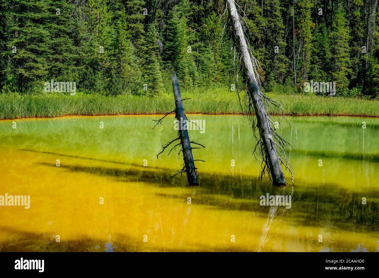 Paint Pots, Kootenay National Park, British Columbia, Canada Stock