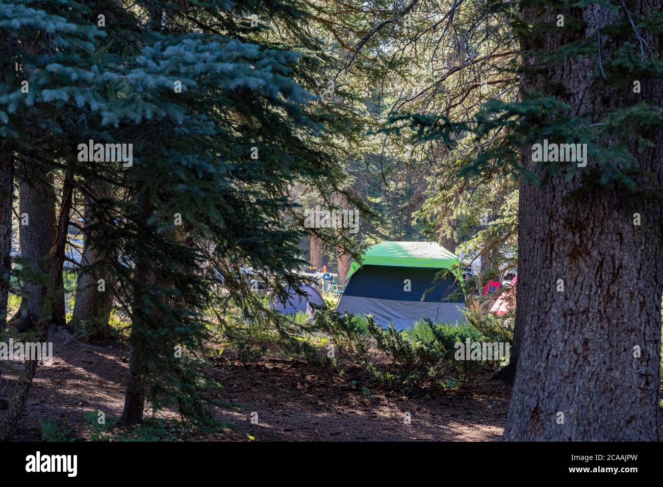 Morning view of the Duck Creek Campground at Utah, USA Stock Photo Alamy