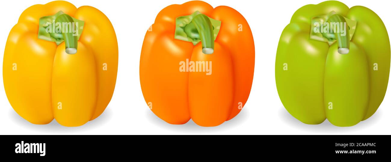 Realistic and colorful yellow, orange and green pepper. Vector Stock Vector