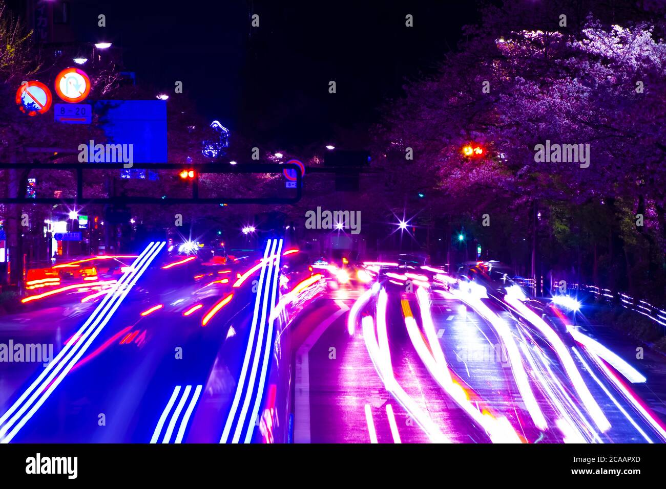 A night cherry street at Yasukuni avenue in Tokyo Stock Photo Alamy
