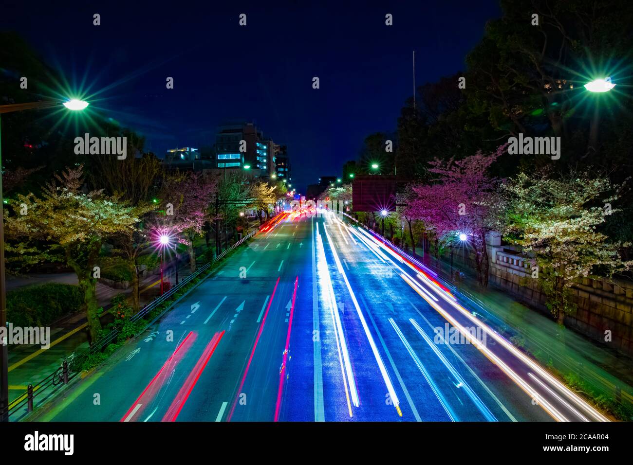 A night cherry street at Yasukuni avenue in Tokyo Stock Photo Alamy