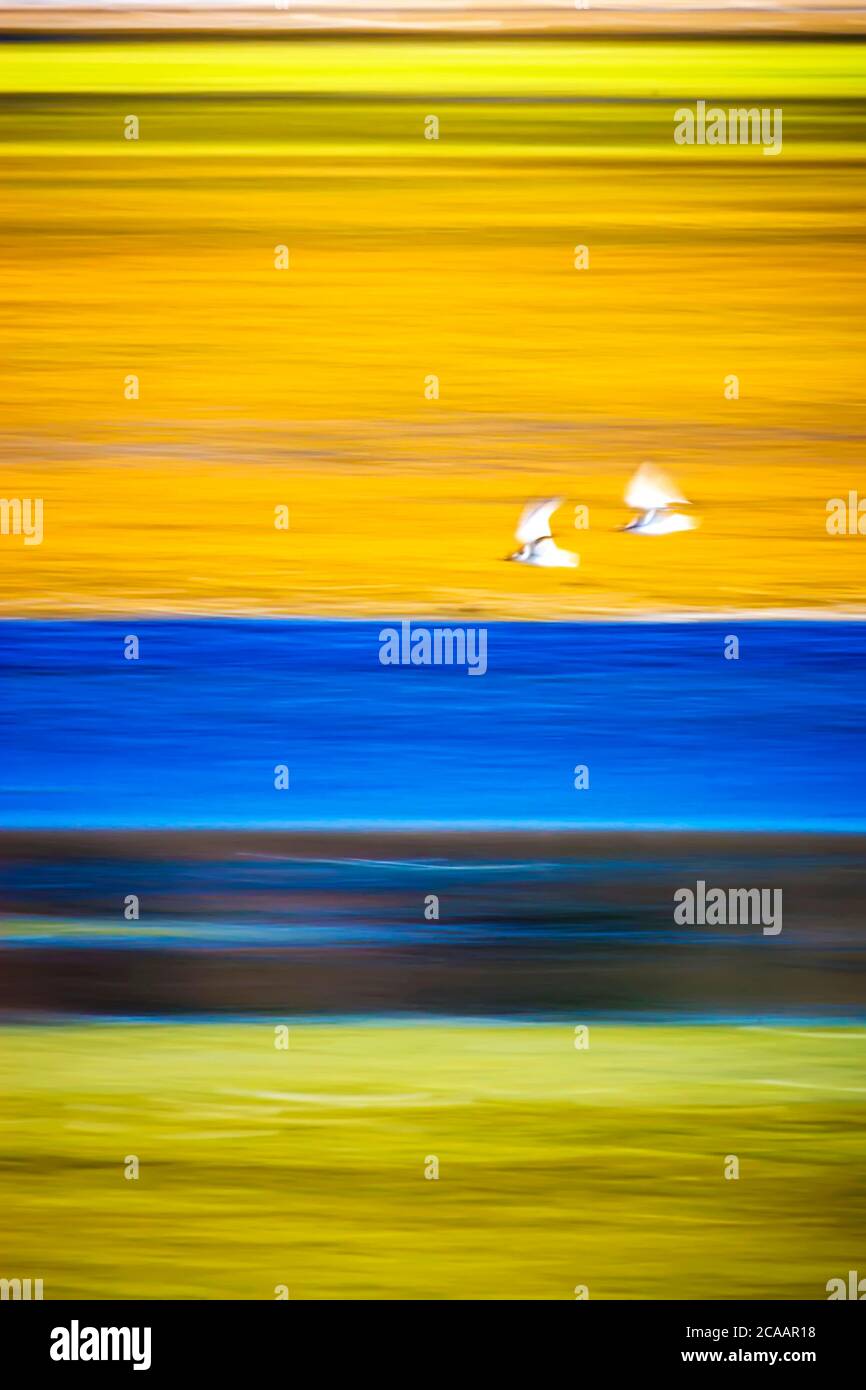 Motion blur background hi-res stock photography and images - Alamy