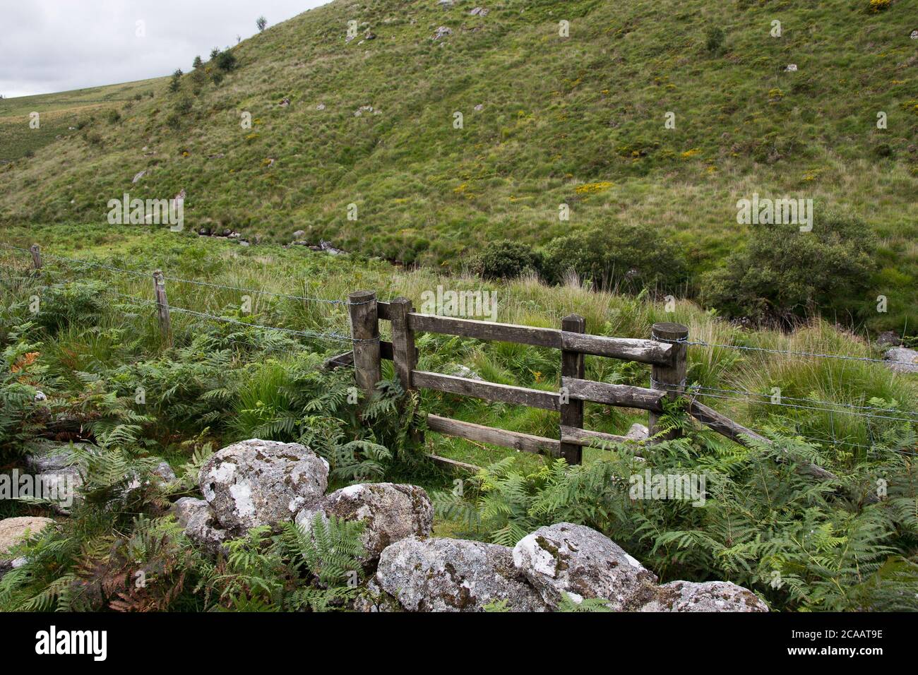 Dartmoor fence stile #1 Stock Photo