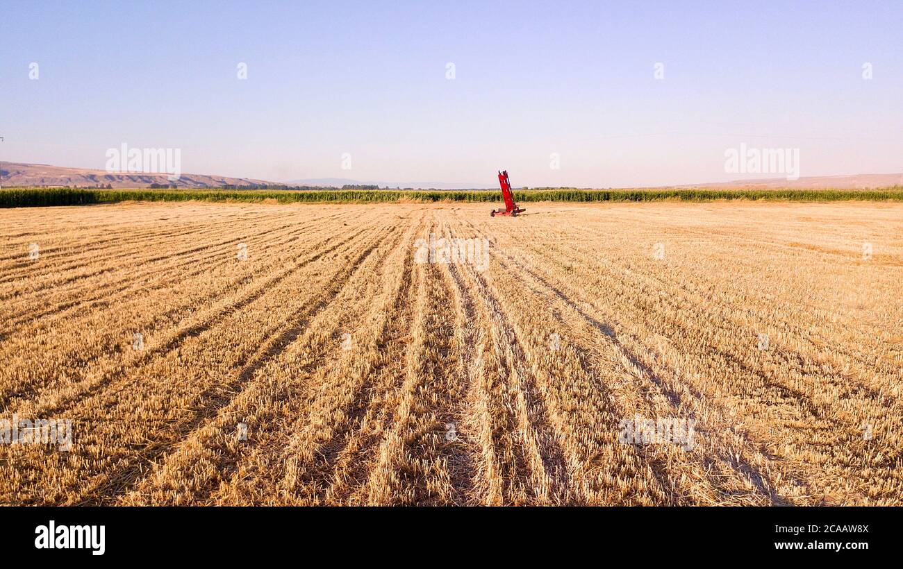 aerial view of a wheat field in the countryside Stock Photo