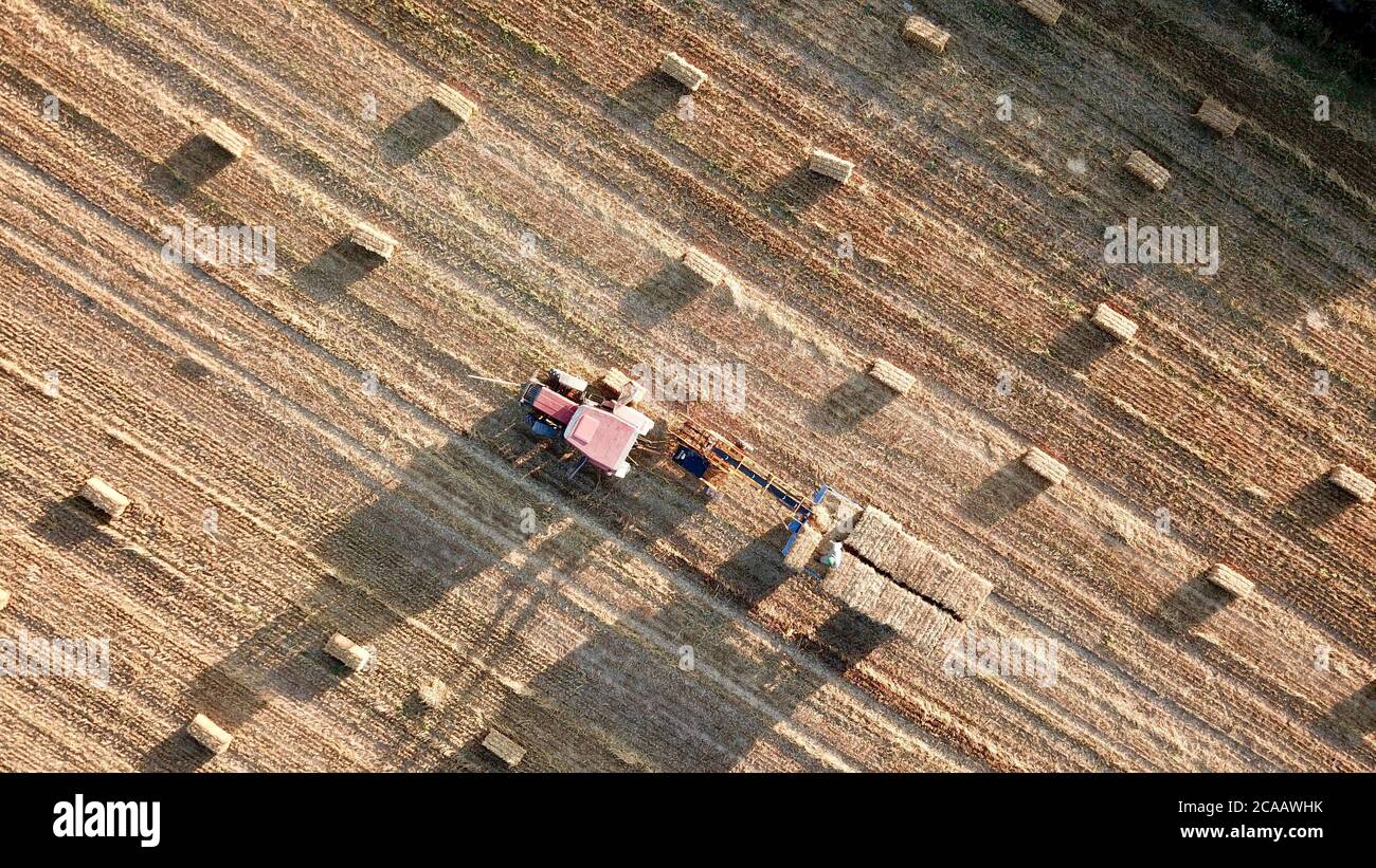 aerial view of a wheat field in the countryside Stock Photo