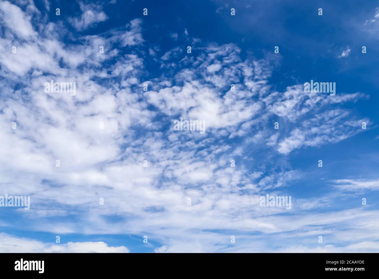 Stunning cirrus cloud formation panorama in a deep blue summer sky seen ...