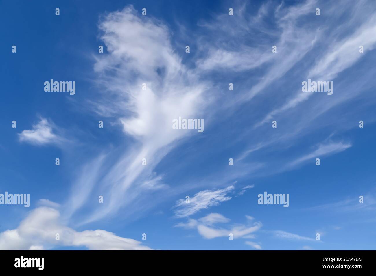 Stunning cirrus cloud formation panorama in a deep blue summer sky seen ...