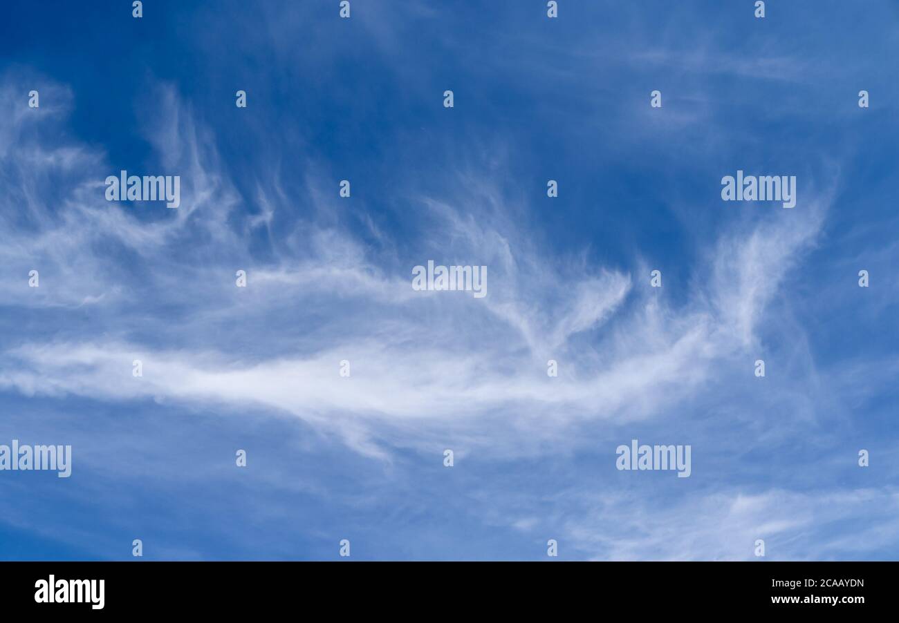 Stunning cirrus cloud formation panorama in a deep blue summer sky seen ...