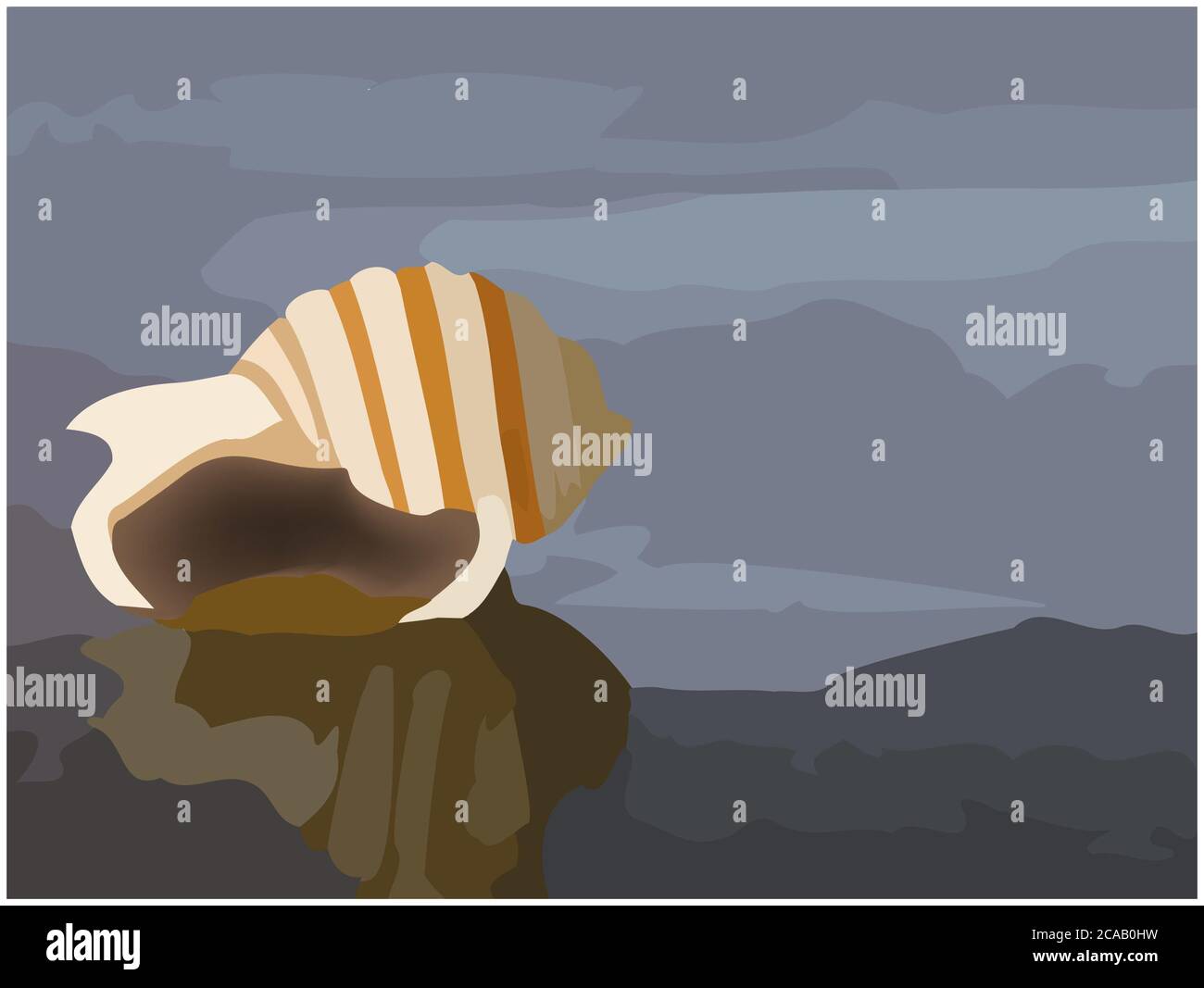 Seashell illustration hi-res stock photography and images - Alamy