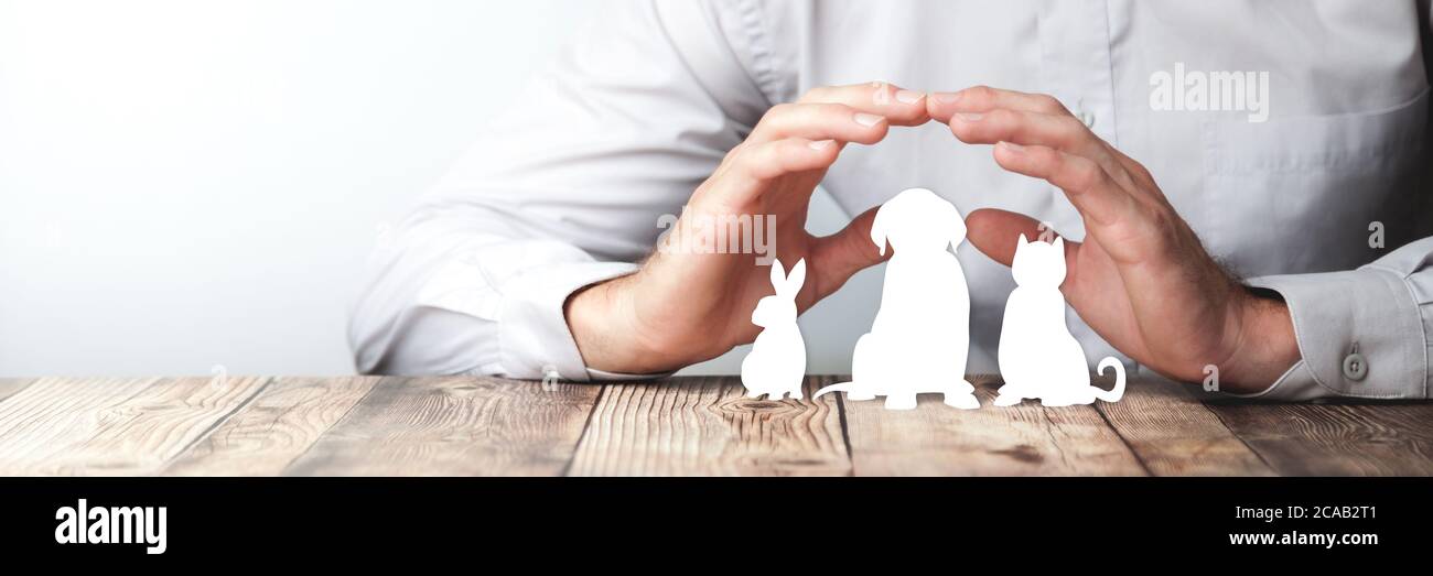 Protecting Hands Over Paper Animals On Wooden Table - Pet Care And Insurance Concept Stock Photo