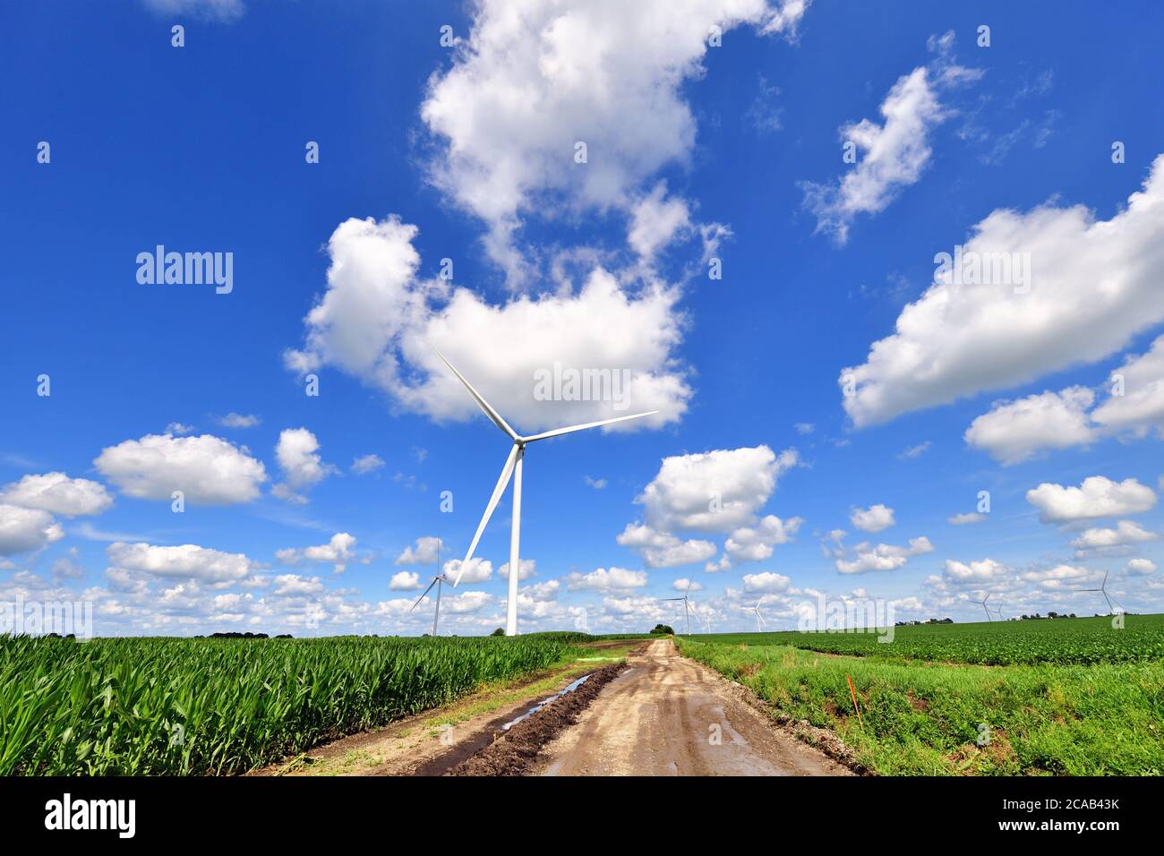 Kernan, Illinois, USA. A wind turbine within a filed of turbines dwarfs the surrounding crops and landscape on a north central Illinois farm. Stock Photo