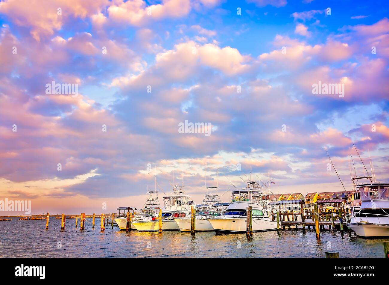 Boats are docked at the Dauphin Island Marina, Oct. 9, 2013, in Dauphin ...